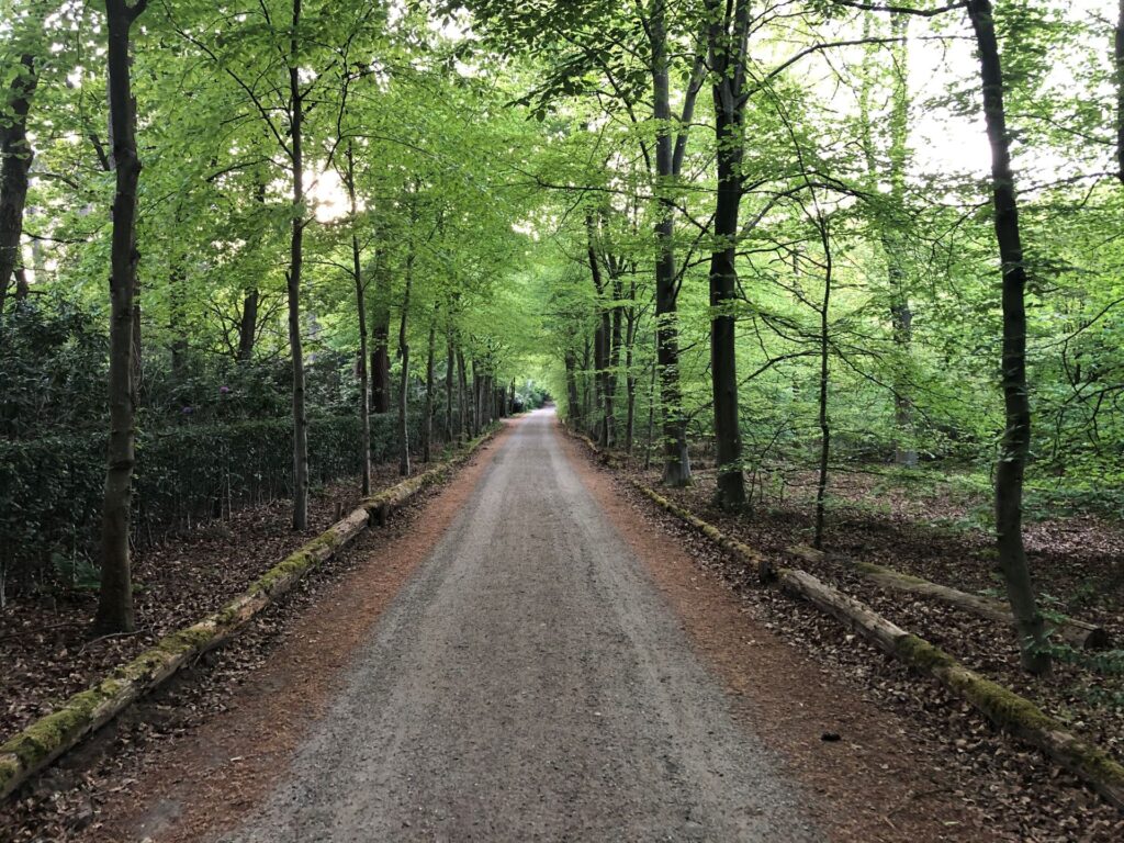 Rustig bospad in de Naarder Eng, ideale locatie voor MindTracking wandelcoaching sessies.