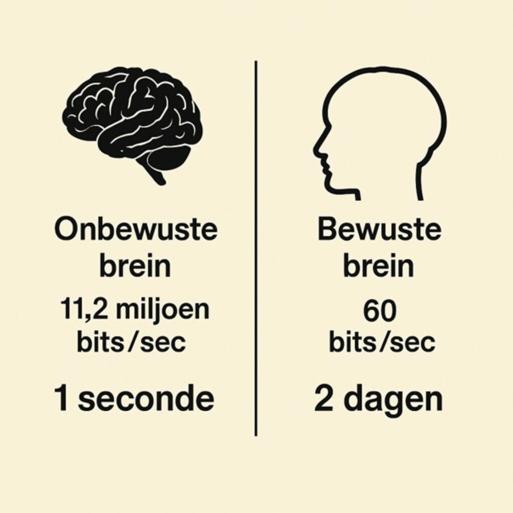 Infographic die het bewuste brein (60 bits/sec)